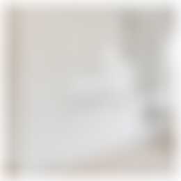 Foto #7 Appartement Adriaen van Ostadelaan Utrecht