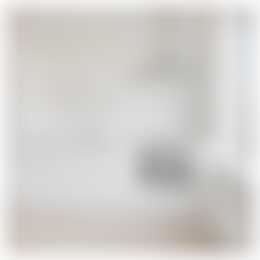 Foto #5 Appartement Adriaen van Ostadelaan Utrecht