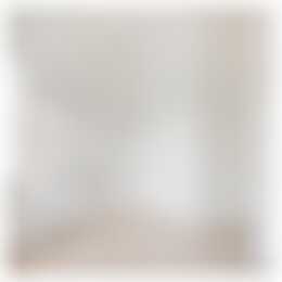 Foto #16 Appartement Adriaen van Ostadelaan Utrecht