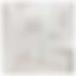 Foto #12 Appartement Adriaen van Ostadelaan Utrecht