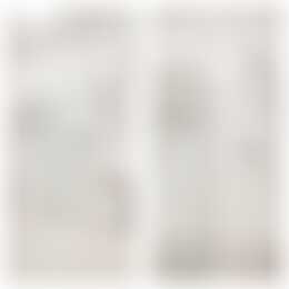 Foto #14 Appartement Adriaen van Ostadelaan Utrecht