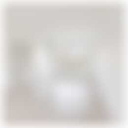 Foto #2 Appartement Adriaen van Ostadelaan Utrecht