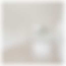 Foto #0 Appartement Adriaen van Ostadelaan Utrecht