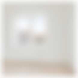 Foto #9 Appartement Adriaen van Ostadelaan Utrecht