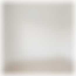 Foto #10 Appartement Adriaen van Ostadelaan Utrecht