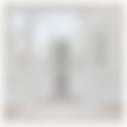 Foto #8 Appartement Adriaen van Ostadelaan Utrecht