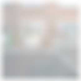 Foto #19 Appartement Adriaen van Ostadelaan Utrecht