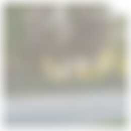 Foto #17 Appartement Corridor Valkenswaard