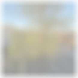 Foto #13 Appartement Corridor Valkenswaard