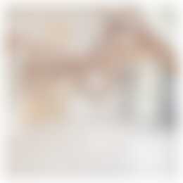 Foto #3 Appartement Bloemendaalseweg Overveen