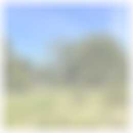 Foto #2 Appartement Montfortlaan Oirschot