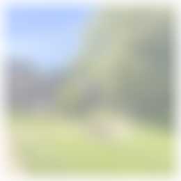 Foto #3 Appartement Montfortlaan Oirschot