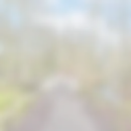 Foto #25 Appartement Van Neckstraat Den Haag