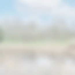 Foto #26 Appartement Van Neckstraat Den Haag