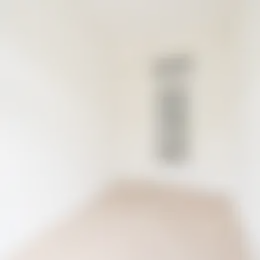 Foto #24 Appartement Van Neckstraat Den Haag