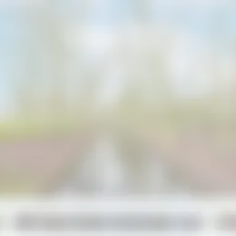 Foto #28 Appartement Van Neckstraat Den Haag