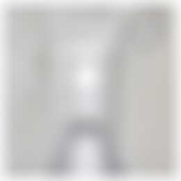 Foto #3 Appartement Kastelenplein Eindhoven