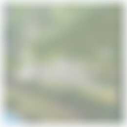 Foto #23 Appartement Kastelenplein Eindhoven