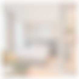 Foto #12 Appartement Wijnhaven Den Haag