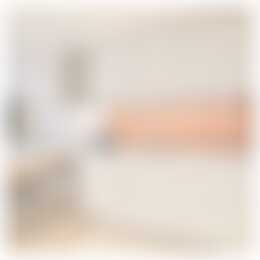 Foto #7 Appartement Wijnhaven Den Haag