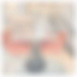 Foto #1 Appartement Wijnhaven Den Haag