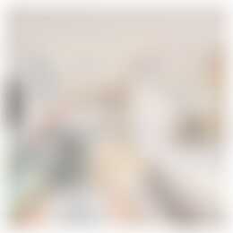 Foto #5 Appartement Wijnhaven Den Haag