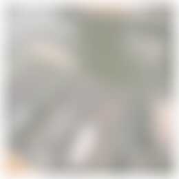 Foto #23 Huurwoning Gaffel Almere