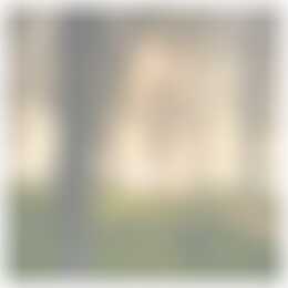 Foto #44 Huurwoning Gaffel Almere