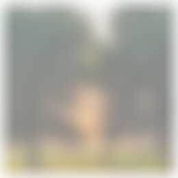 Foto #47 Huurwoning Gaffel Almere