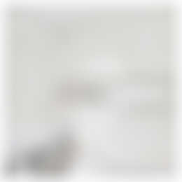 Foto #11 Huurwoning Ast Nederweert