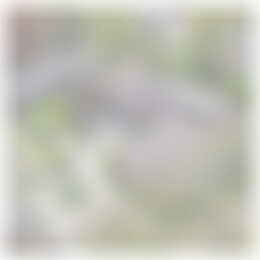 Foto #2 Appartement Ittmannserf Nunspeet