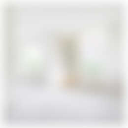 Foto #5 Appartement Ittmannserf Nunspeet