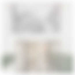 Foto #1 Appartement Rozengracht Zaandam