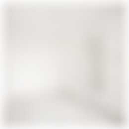 Foto #5 Appartement Rozengracht Zaandam