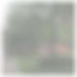 Foto #24 Kamer Oppert Rotterdam