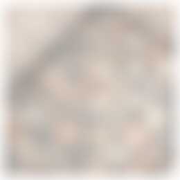 Foto #23 Kamer Oppert Rotterdam