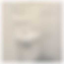 Foto #12 Appartement Veerpolder Warmond