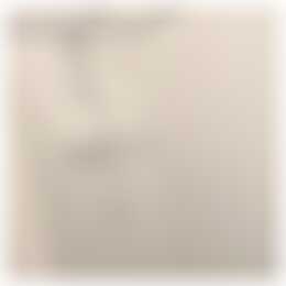 Foto #11 Appartement Veerpolder Warmond