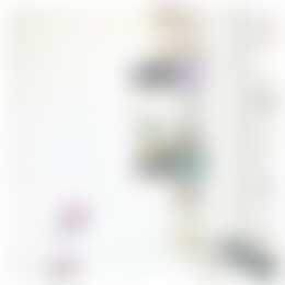 Foto #12 Appartement Elandsgracht Amsterdam