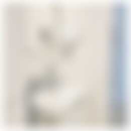 Foto #14 Appartement Elandsgracht Amsterdam