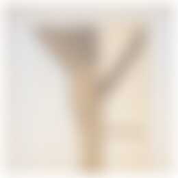 Foto #1 Appartement Rechtestraat Eindhoven