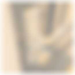 Foto #27 Appartement Jufferstraat Rotterdam