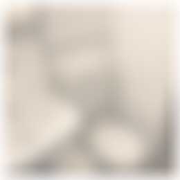 Foto #6 Appartement Rode Kruislaan Diemen