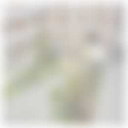 Foto #18 Appartement Schubertsingel Den Bosch