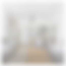 Foto #1 Appartement Van Dijckstraat Den Haag