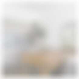 Foto #3 Appartement Van Dijckstraat Den Haag