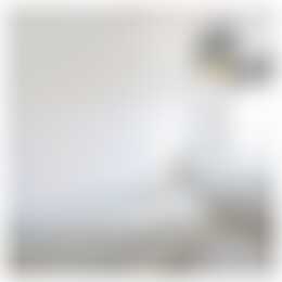 Foto #5 Appartement Van Dijckstraat Den Haag