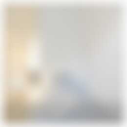 Foto #6 Appartement Van Dijckstraat Den Haag