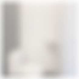 Foto #12 Appartement Van Dijckstraat Den Haag