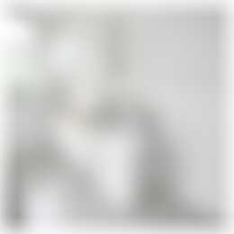 Foto #6 Kamer Frans Bekkerstraat Rotterdam